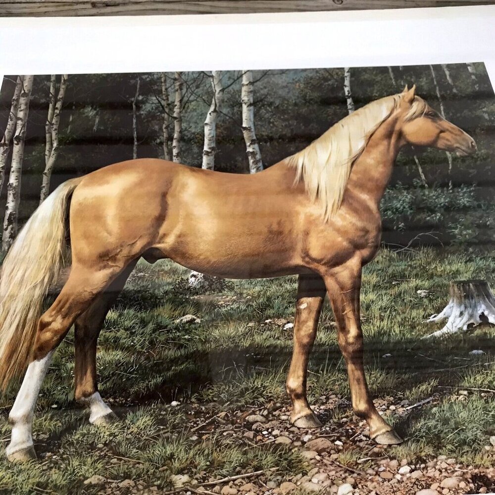 Carl Brenders BLONDE BEAUTY Horse Print Signed & Numbered Vintage SEALED! - Picture 6 of 9
